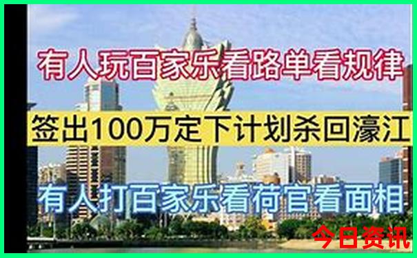 阳历8月去哪里旅游比较好