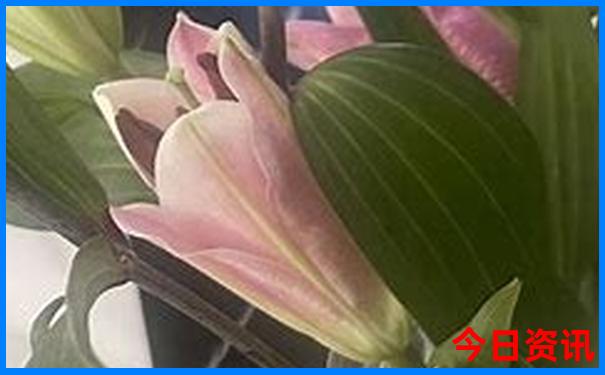 乌蒙大草原必去景点